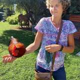 Animal Therapy