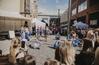 Kroužkofest - Dream PRO