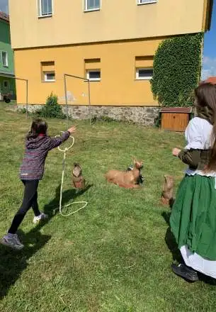 Nemuseli jsme nic připravovat a následně uklízet