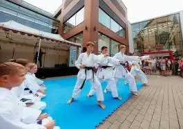 Kroužkofest 2024