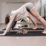 PET joga