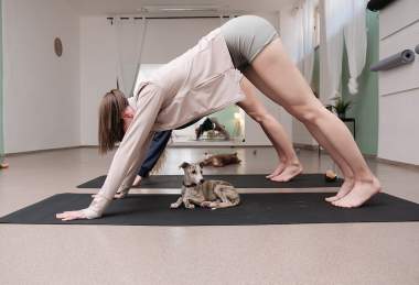 PET joga