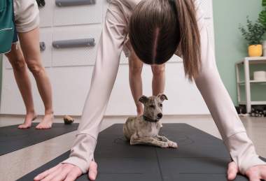 PET joga