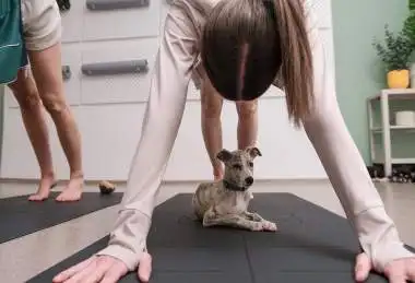 PET joga