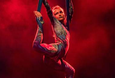 Forest balade | Aurora Acro