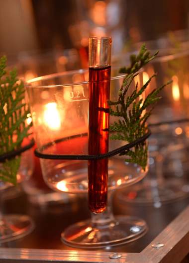 Ples upírů na Zámku Větruše