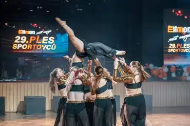 Elimon 29. Ples Sportovců