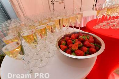  Zetor VIP - Dream PRO