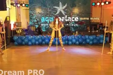 Silvestr v Aquapalace Hotelu Prague