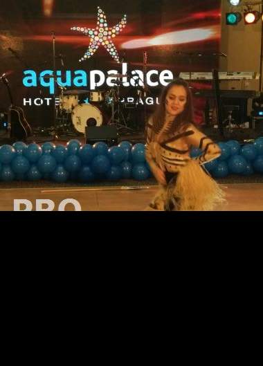 Silvestr v Aquapalace Hotelu Prague