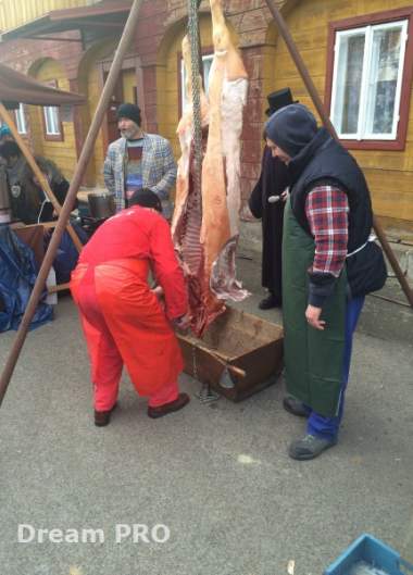 2. Jiříkovský masopustní rej