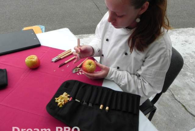 DŮM, ZAHRADA, VOLNÝ ČAS