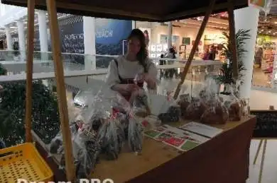 Velikonoce v OC Galerie Teplice