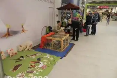 Velikonoce v OC Galerie Teplice