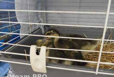 Velikonoce v OC Galerie Teplice