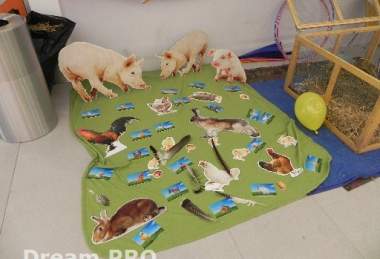 Velikonoce v OC Galerie Teplice