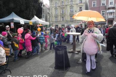 Děčínský masopust - Dream PRO