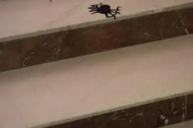 Ples společnosti Black & Decker