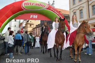  Vinobraní Litoměřice