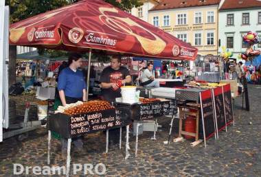  Vinobraní Litoměřice