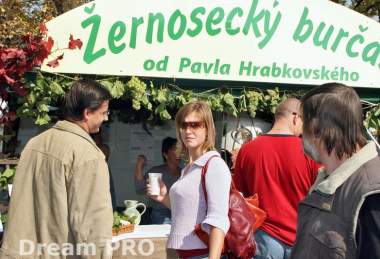  Vinobraní Litoměřice