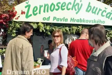  Vinobraní Litoměřice