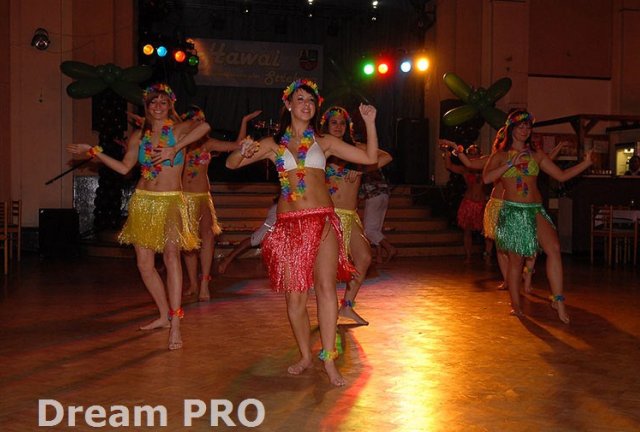 Hawaii aneb Reprezentační ples Střekova