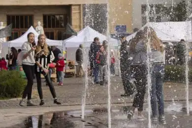 České dny v Zákarpatí 