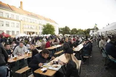 České dny v Zákarpatí 