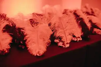 Vánoční večírek pro zaměstnance AVE