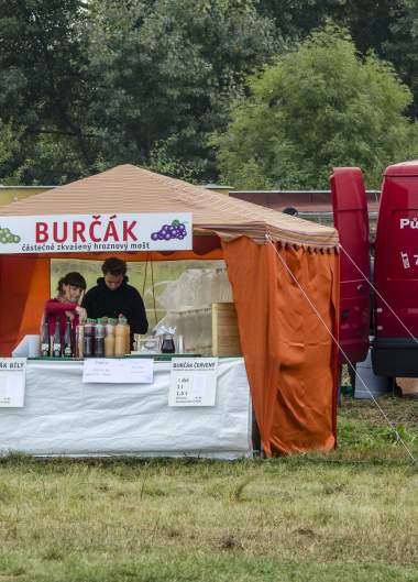 Ostrovní festival 2012