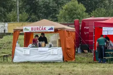 Ostrovní festival 2012