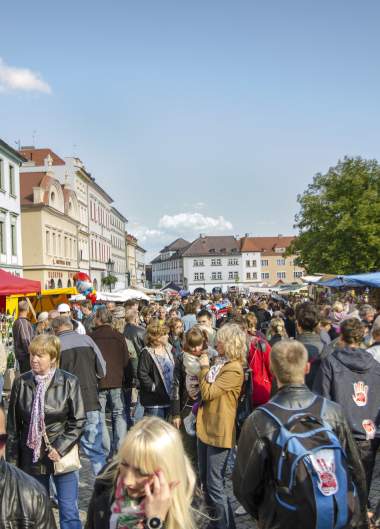 Ostrovní festival 2012
