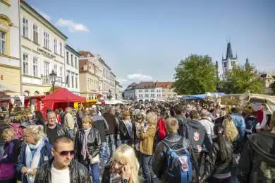 Ostrovní festival 2012