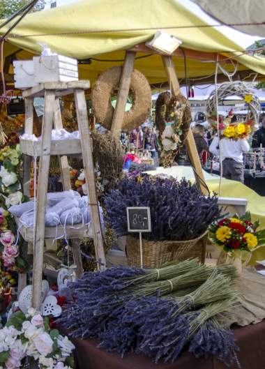 Ostrovní festival 2012