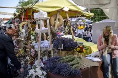 Ostrovní festival 2012