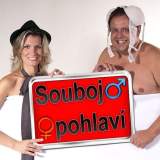 Souboj pohlaví