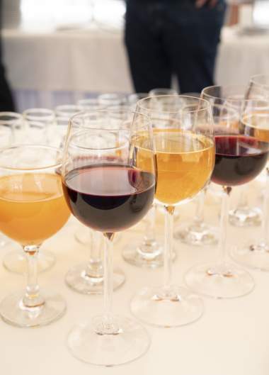 České dny na Ukrajině - Užhorod