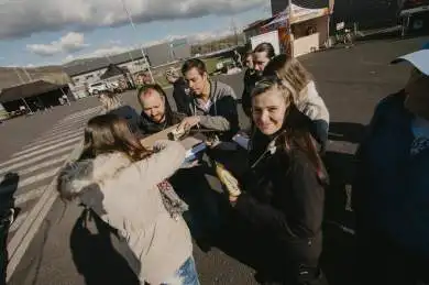 Tivall Safety day - Zdraví máme jen jedno